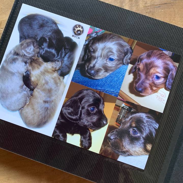 87963139 df4b 40da 9ff6 dfeb5a9d9c0a 1619241561778