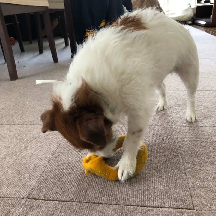 879631b3 beb5 4e39 aaeb 4ea610864e98 1554031301986