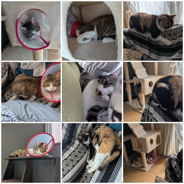 87963af7 adb4 487e a268 a47c38cf835e 1750316149705