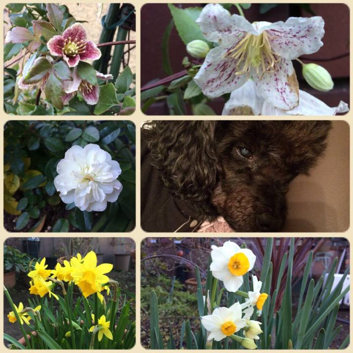 87964cb4 112a 48c2 a94a ce40c8a16eb3 1514180157634