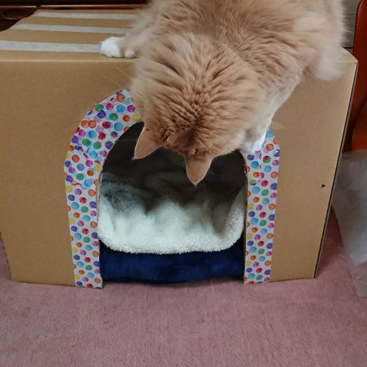 87965614 b9b7 47ea 84c4 81a05343c5ad 1540288061825