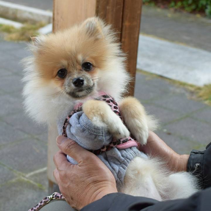 879677ed 2cc5 46b8 a95f 81e535aabe80 1514030905075