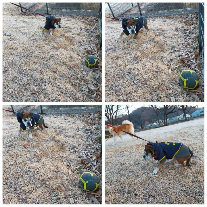 87969c05 68ff 433d a7bb 1fa1fc4ac6d2 1643717144787