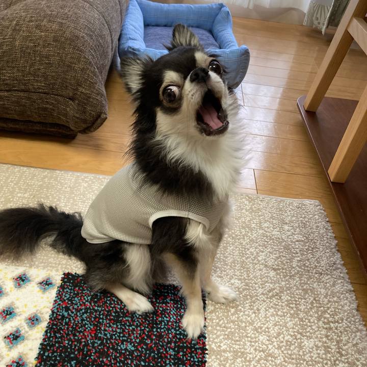 8796bbd8 64e7 4fa3 b029 755f821e8e6a 1695465691115