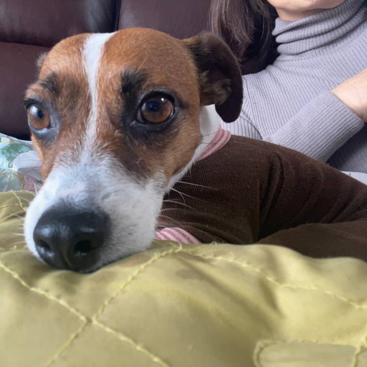 8796f168 01c6 4c3f 9b19 f20d17f87008 1675872697606