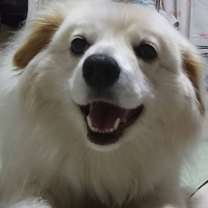 87971a8b b6fe 4151 8419 e99a0b0de82e 1513769520071