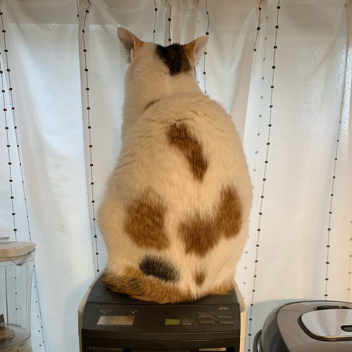 87975d0e 46de 454d a6fe 3c0c7a687bbb 1641086237316