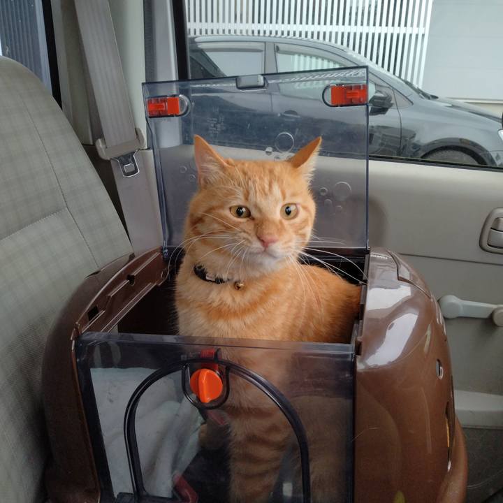 879771af 2040 4ab0 b4a8 05f0e5b3f4e2 1665711788948