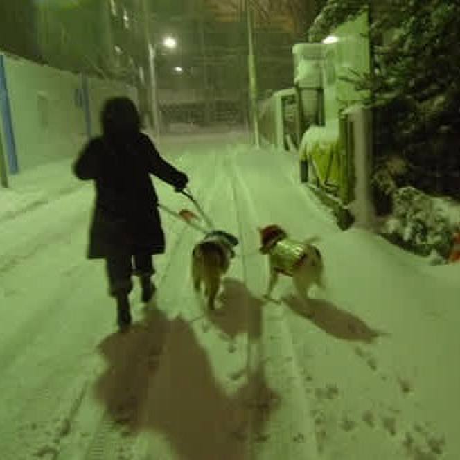 8797ddee 0408 40b8 9467 83472627d8cd 1770519097743