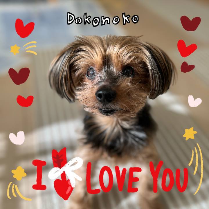 8797f5c0 7c51 4e4a 8753 bd890e02bf62 1706859601751