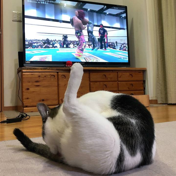 8797f626 10b8 4040 868e a5cc8ad8205c 1654000467954