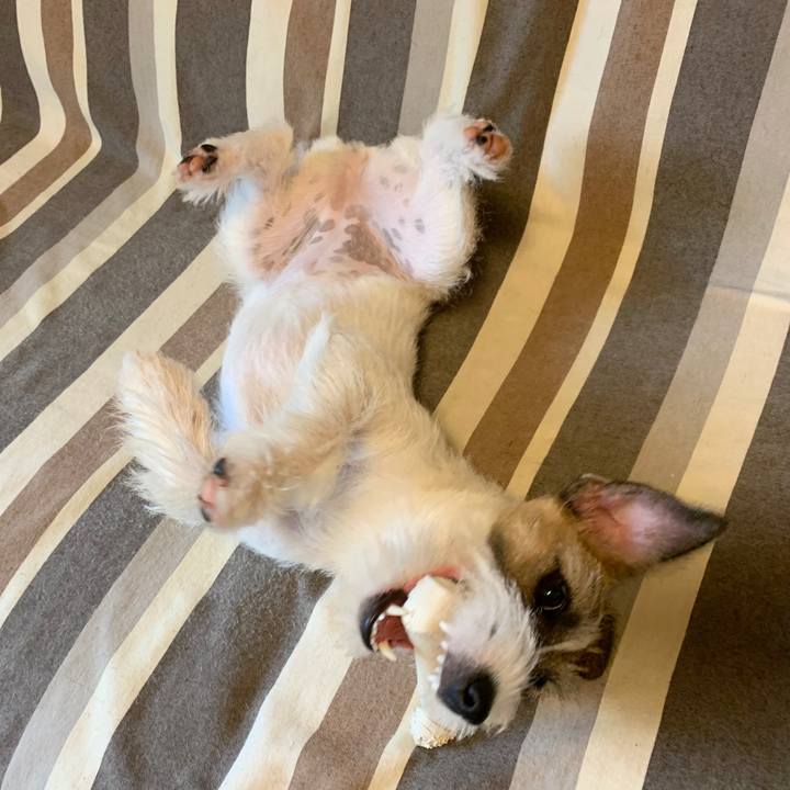 87980dd1 083a 45d5 9fcf 96ad10bbcc81 1571968779398