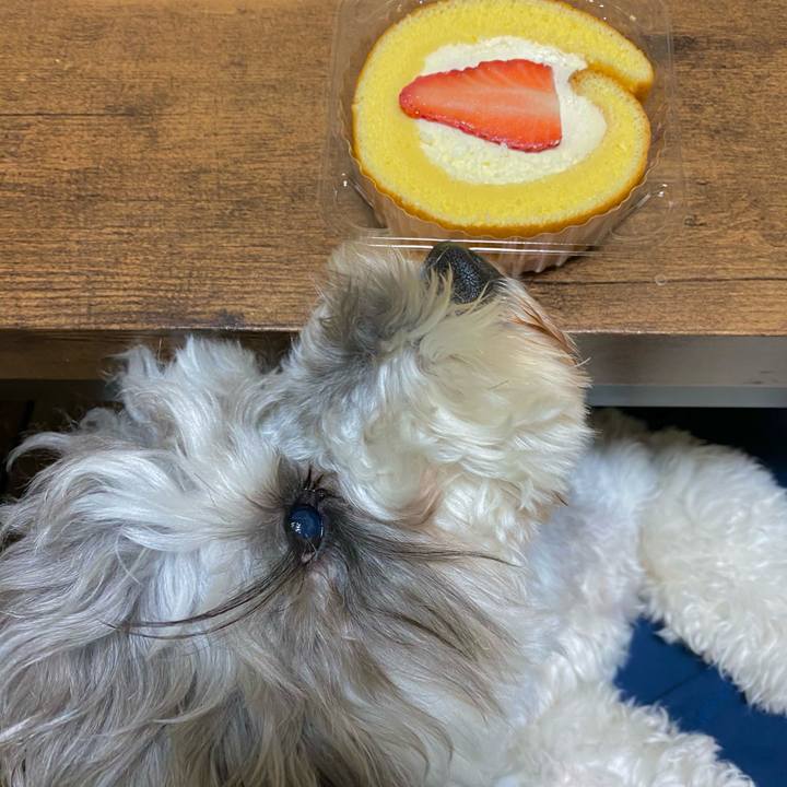 87983fc4 3822 485c b2a3 0476b1e94a57 1617614650019