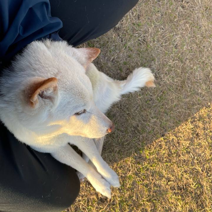 8798d581 572e 42b7 90bf 9770d4ecf8ba 1669380750192