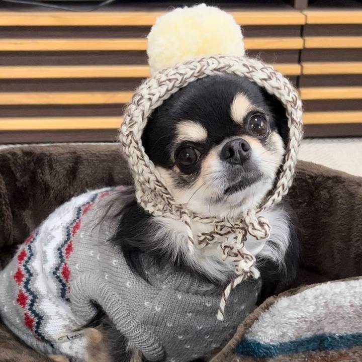 87991ea6 e8b3 4487 beac 317515e3370b 1670123809436