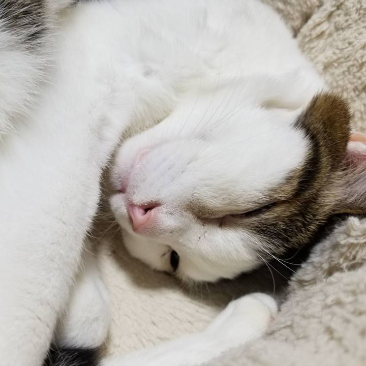 87992731 4d89 45c1 92fc 0b9dacaacb6f 1613649169919