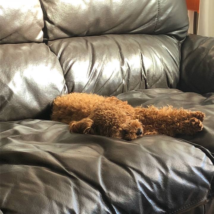 879937cd 1906 4d90 86ac 557abb608e4e 1515246198441