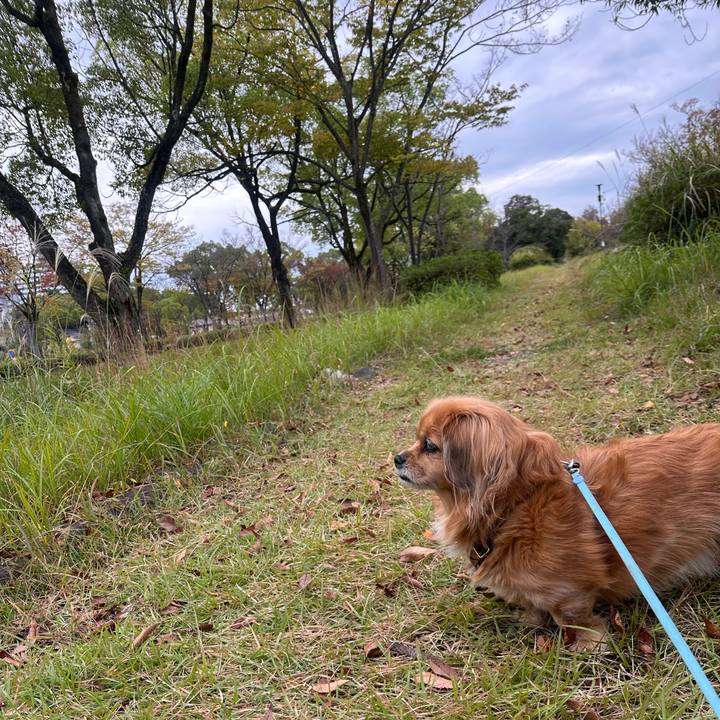 87994806 ae5c 455b bf22 2ab43a4233d5 1699823715983