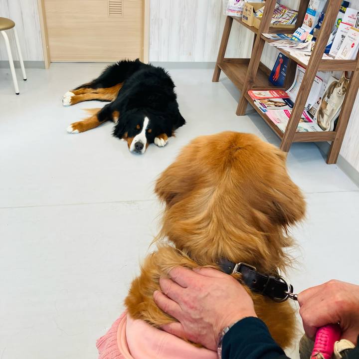 87996cc6 39b7 4d25 890e 8f01766e6889 1767591536470