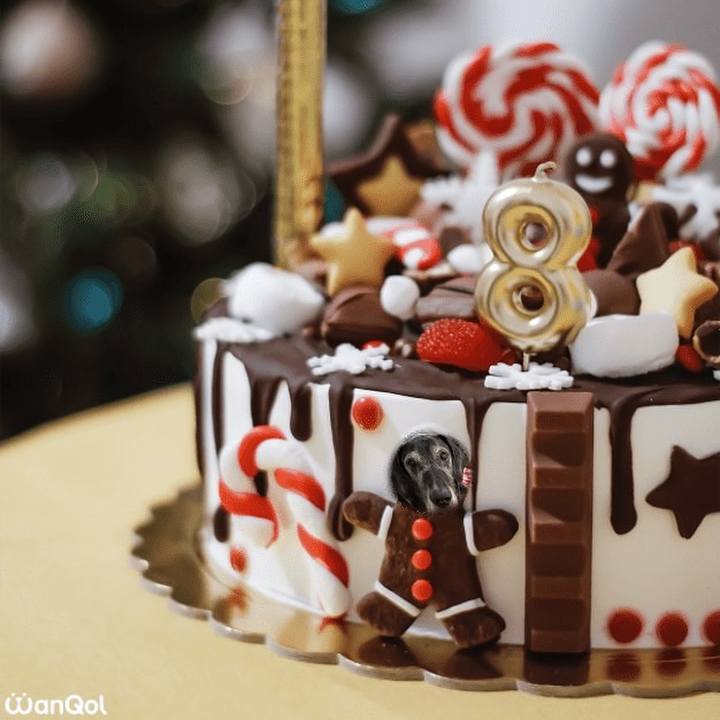 87997200 398c 469f 8301 8b4bde9f0ed6 1640733486689