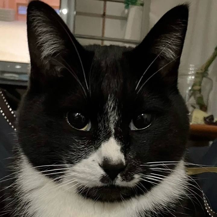 8799989d 81a8 47ed b81b ae7e142f23a0 1710591636393