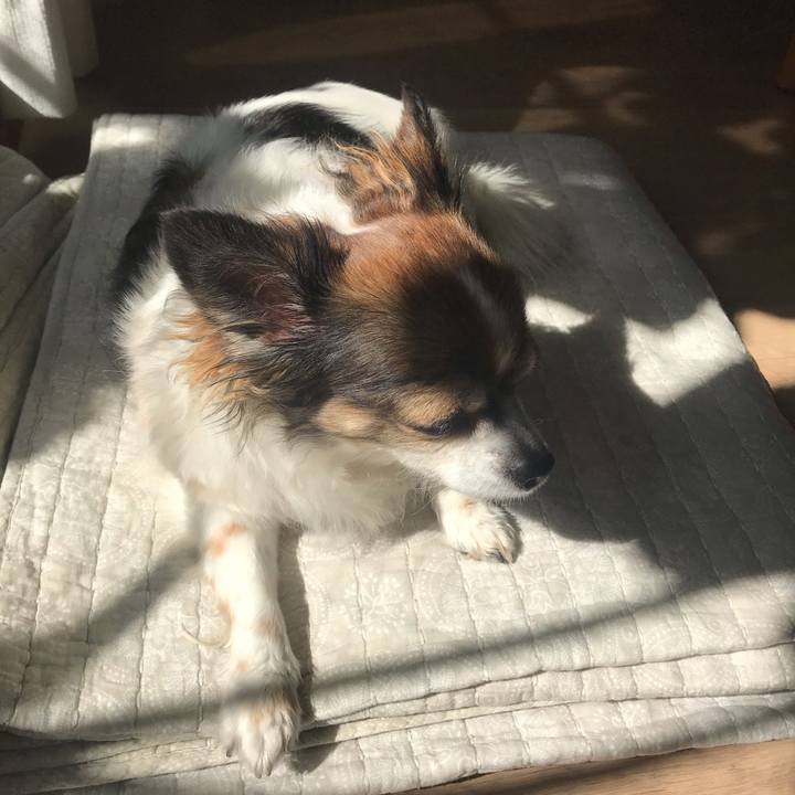 8799acc7 5e8f 4ad6 8738 1e653279e3e2 1666233443475