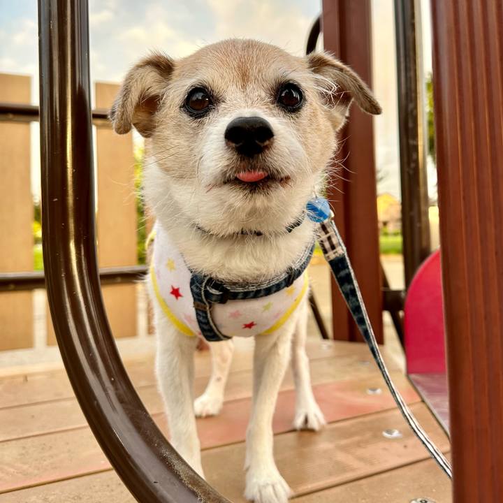 8799b08c ce14 4a30 abaa 9863c1320d1b 1724799602522