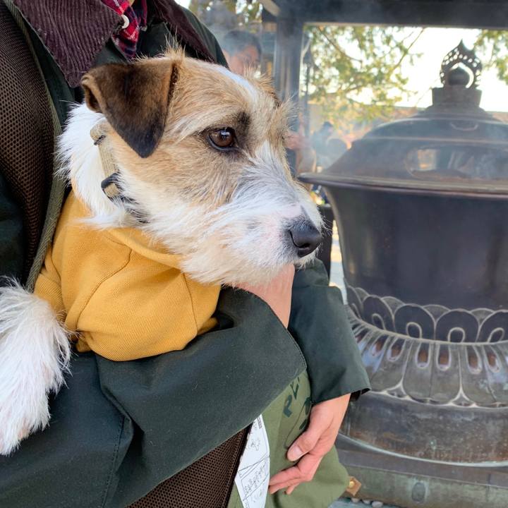 8799c70c 334c 4225 aa70 4f103b8d8530 1581224911870