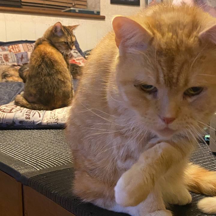 879a1616 da7a 4d01 9881 50f87c6662cf 1586712267363