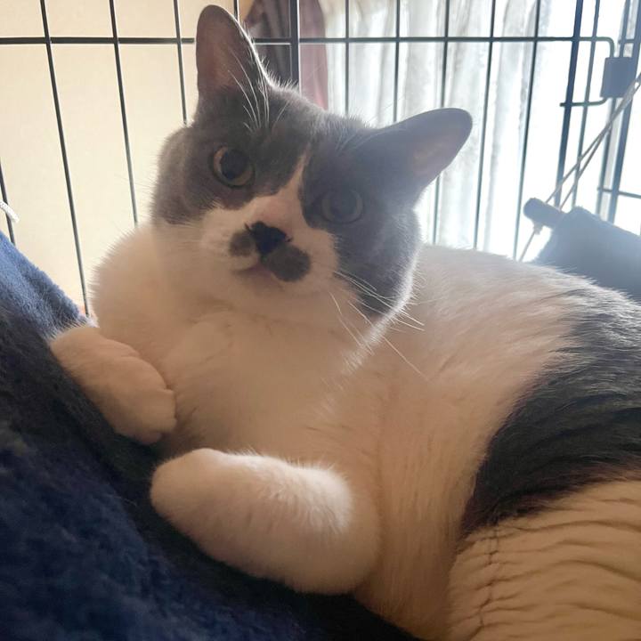 879a332b aedd 4620 9920 a08eefb7a543 1719785572989