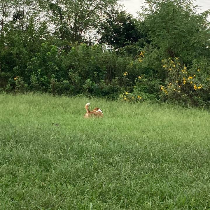 879a6e95 a407 4521 9f6c 6a63ad93ad36 1761637356610