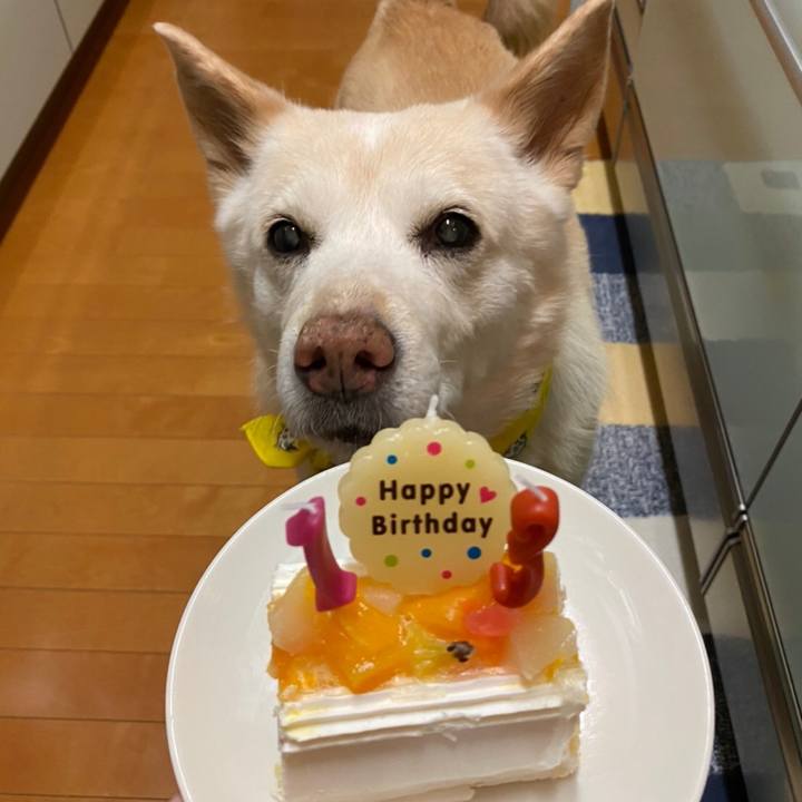 879a860e e3f5 4e74 8762 a7f5f73b7b90 1613131607372