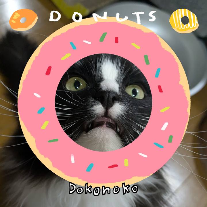 879aa225 dec2 4516 8d83 6221b985c462 1744288221219