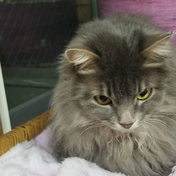 879aa268 8956 48d7 b75d f2b92bcc47b5 1551356506057