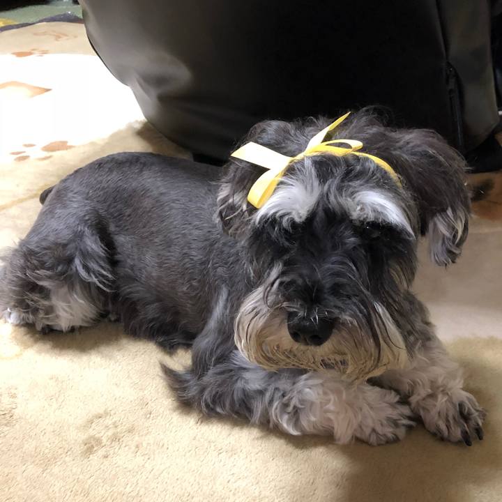 879ac45c 8c49 40bd 8bc1 2a94aaaefb71 1529320974556