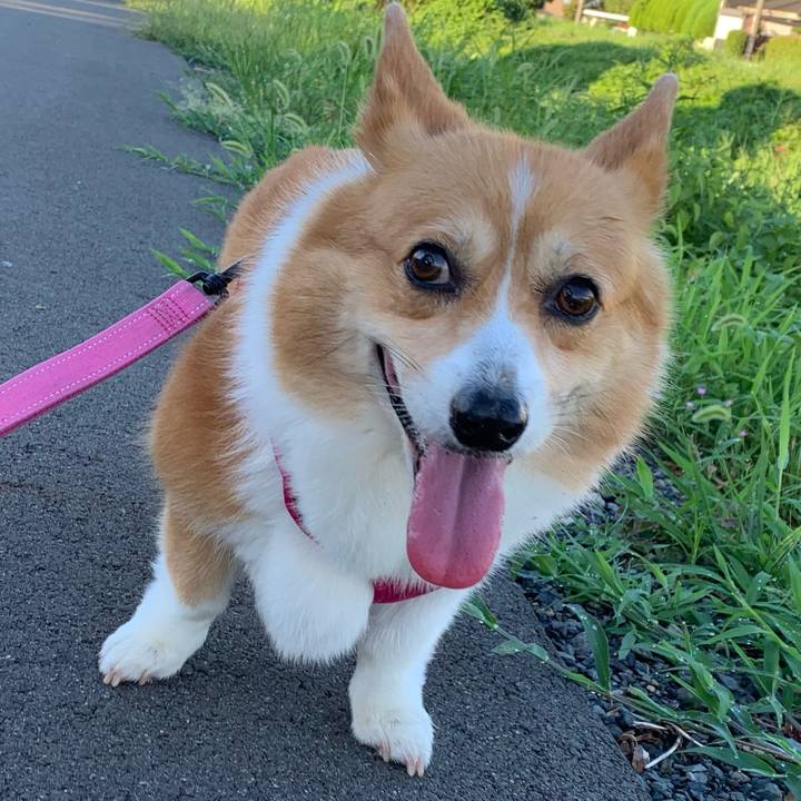 879ade99 ca92 431a 872d b56c1c98aa9d 1628287530620