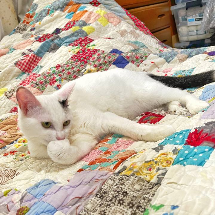 879af392 c4bc 44f0 8b6a 3c7f129f7d56 1689646661073