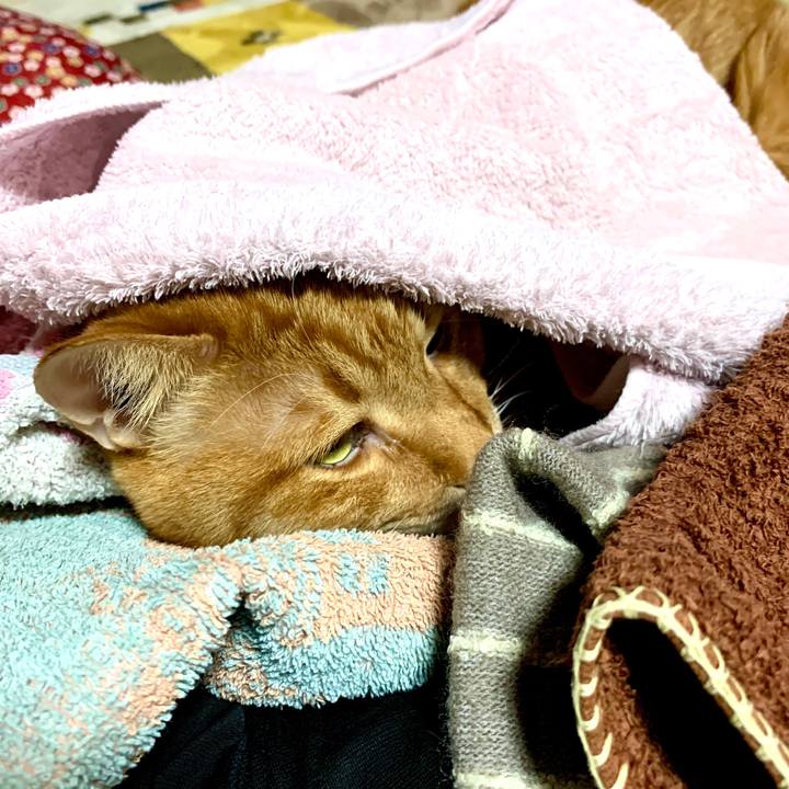 879af5ba 84d9 4d86 b3a9 0f6a04fe0a72 1582448769633