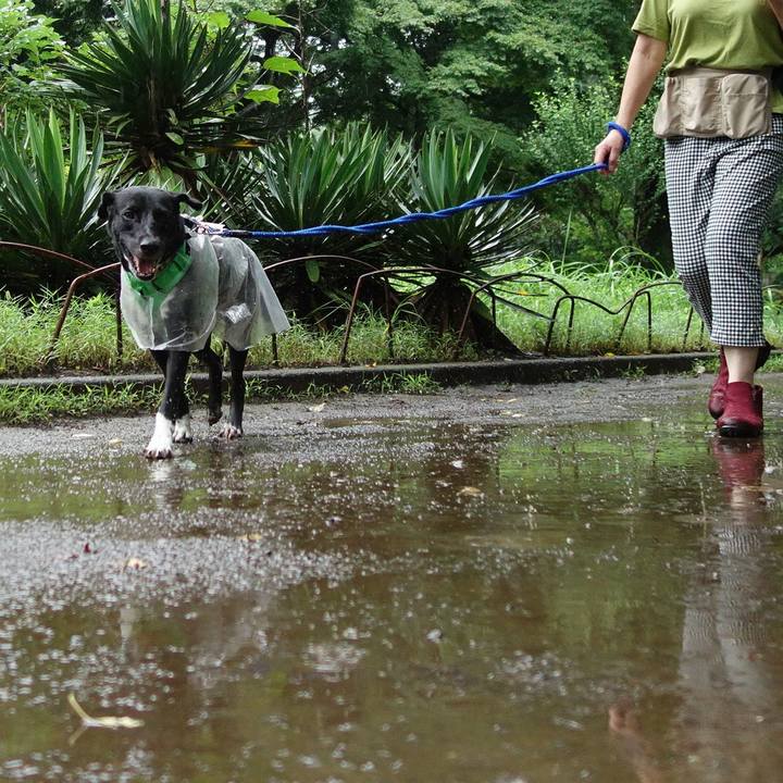 879afb0e e8f9 4668 b7a9 7f402e1ed5a6 1594767991881