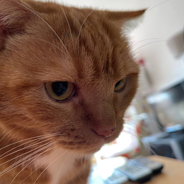 879b2f53 3e17 4890 bdcc c966e1b6d16c 1668218160594