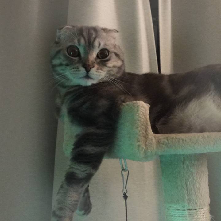 879b3015 ba7b 4b05 ba19 806efa04c668 1598803378135