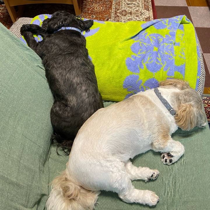 879b3180 ebe3 4f07 b7b7 c35e65eaad66 1692948551085