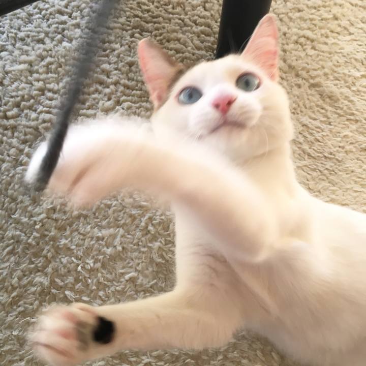 879b33d6 7f95 41d7 8fdb 7b2385b2f9a8 1513654252580