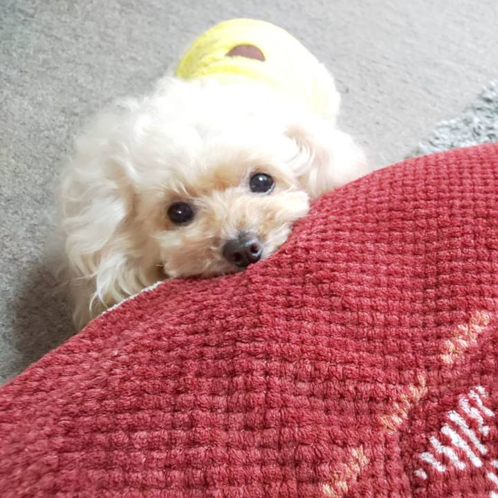 879b3e6b 9669 4fee 899a 0578aca4a738 1678795800453