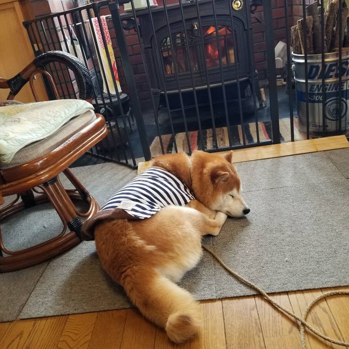 879b547b b518 4713 8b23 4cca6fb7fd82 1642294492651