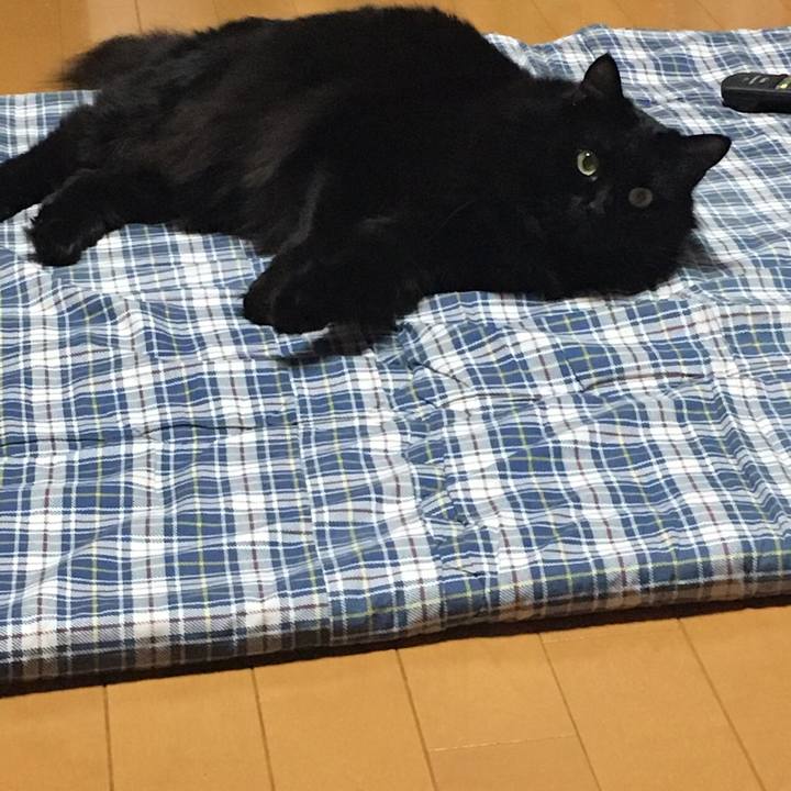 879b5637 5b51 471b 8a23 089b9ccaef38 1512308625877