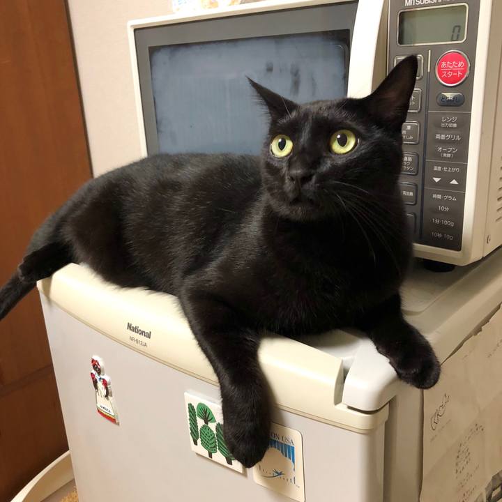 879b65fb 2b7e 44b5 95f7 b9d33afc4b9b 1539775427881