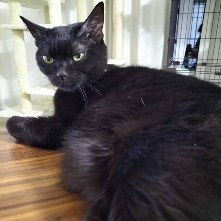 879ba56c ae99 4d3d b164 7fb658486d15 1705408722683