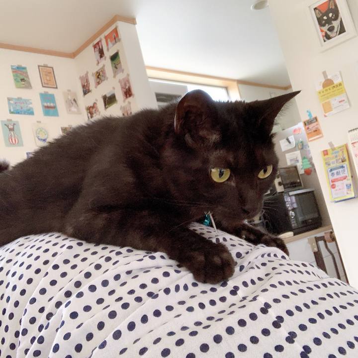 879bd61d 9f76 4af7 a114 15e473d905ec 1560502366463