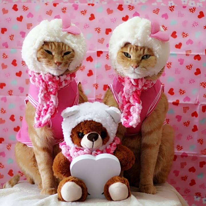 879bfb4f c945 458c 96eb da6505fb1751 1518613617735